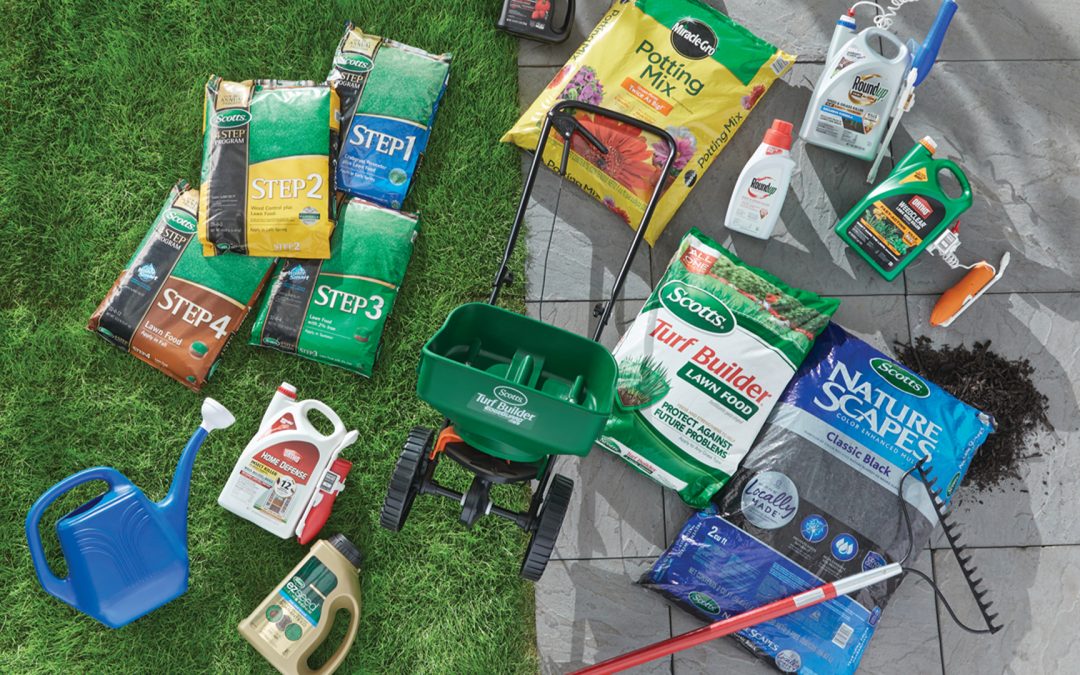 Protected: Bye-Bye Weeds! 6 Smart Tips for a Healthier, Weed-Free Yard