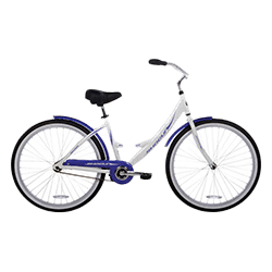 041522-backyard-cat-bicycle