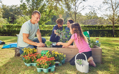 How to Start a Backyard Vegetable Garden