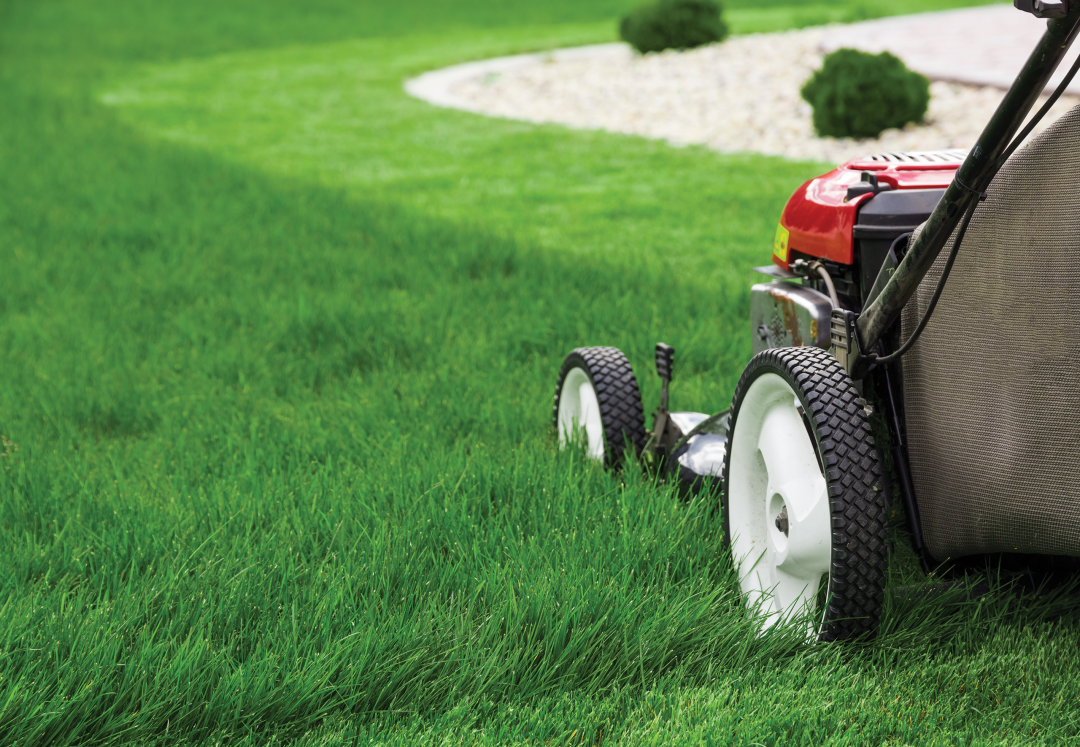 Lawnmower on a green lawn