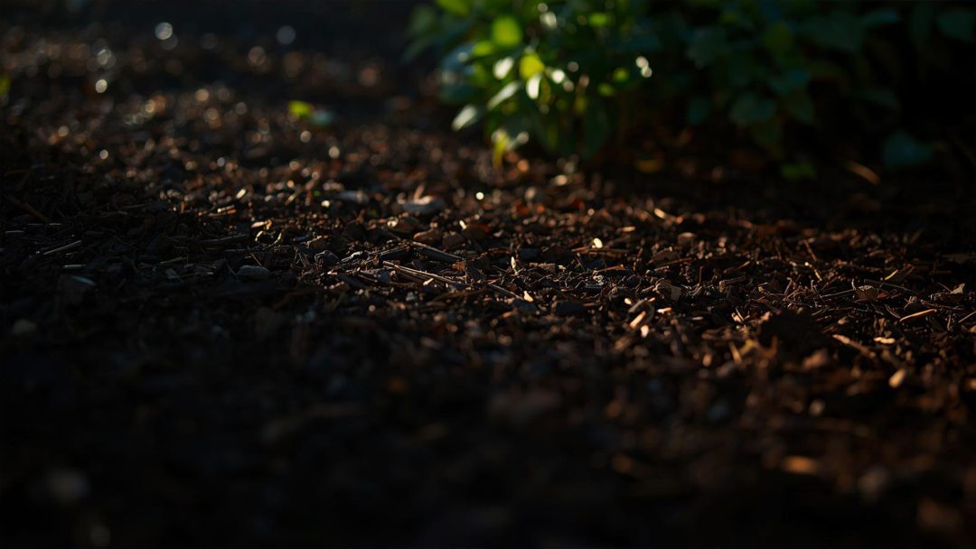 Close up of garden mulch