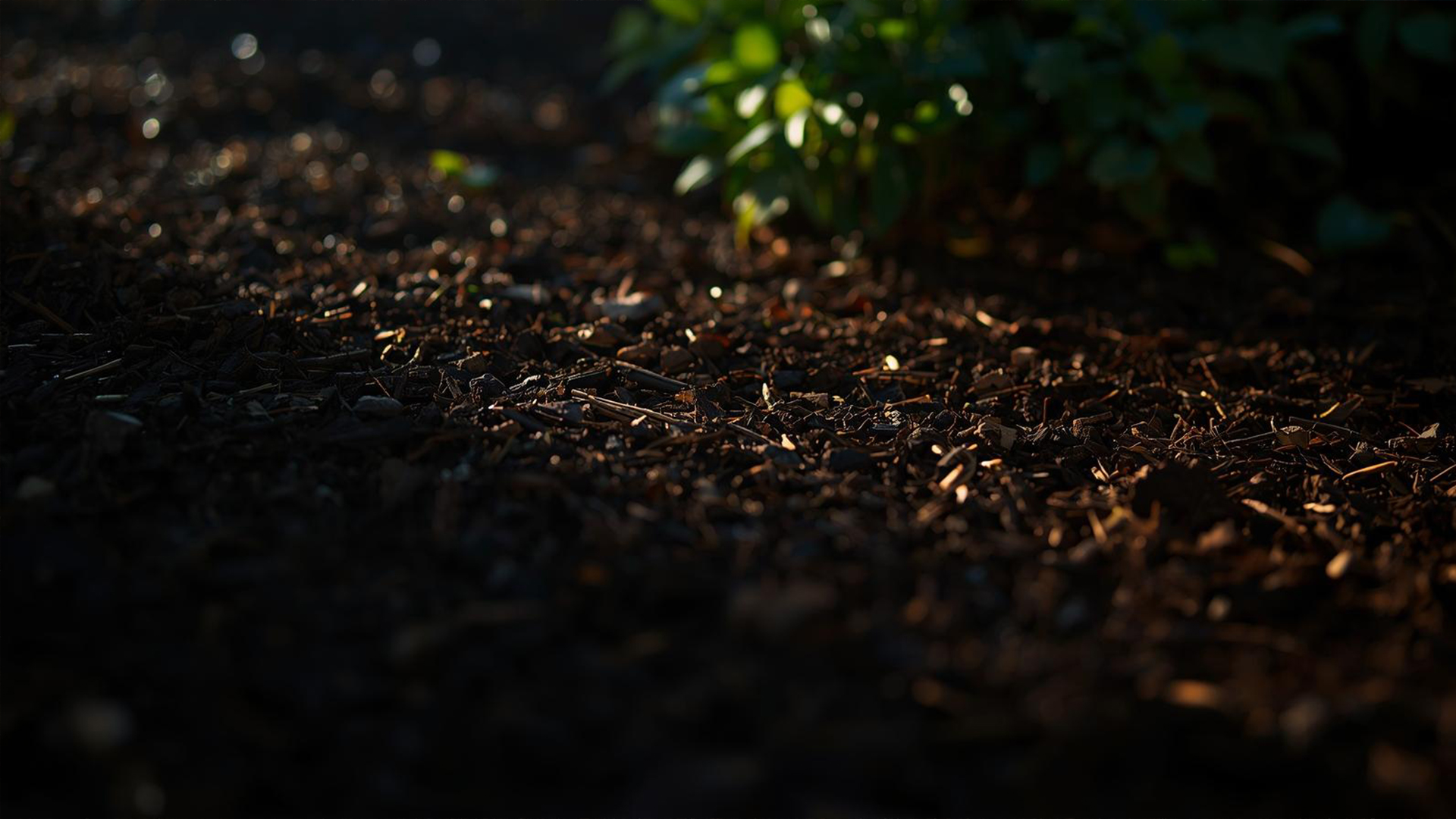 Close up of garden mulch