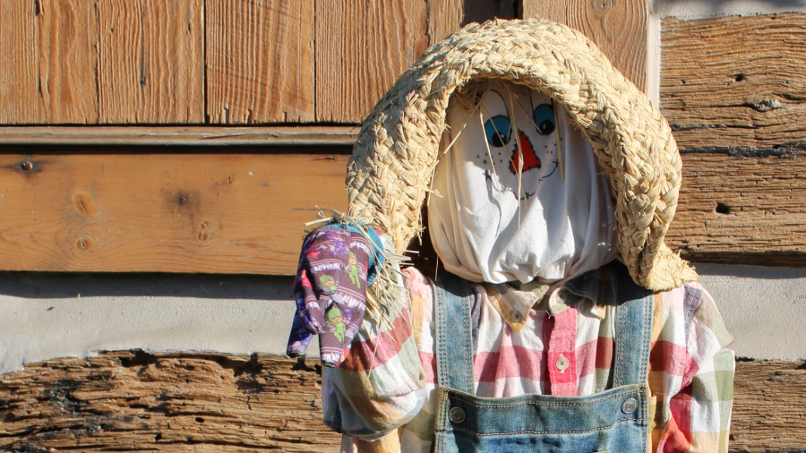scarecrow