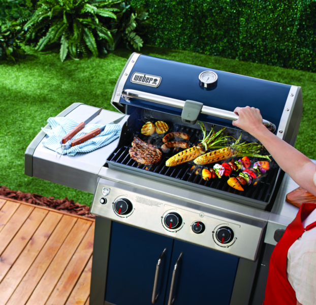Choosing the Best Weber Grill For You Rocky's Ace Hardware