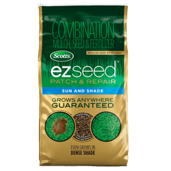 9820_categories_grassSeeds