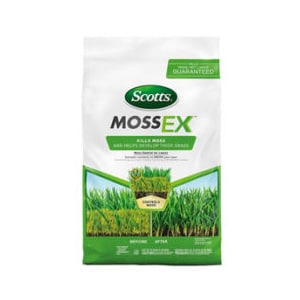 Moss control