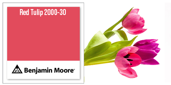 Red Tulip by Benjamin Moore. Paint code 2000-30.