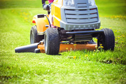 Year-Round Lawn Care Schedule